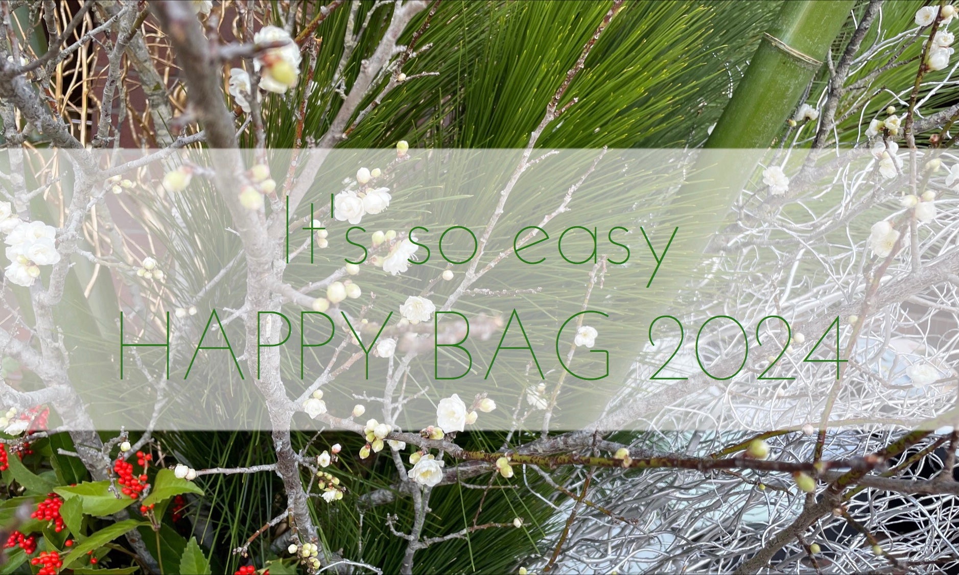 HAPPY BAG 2024